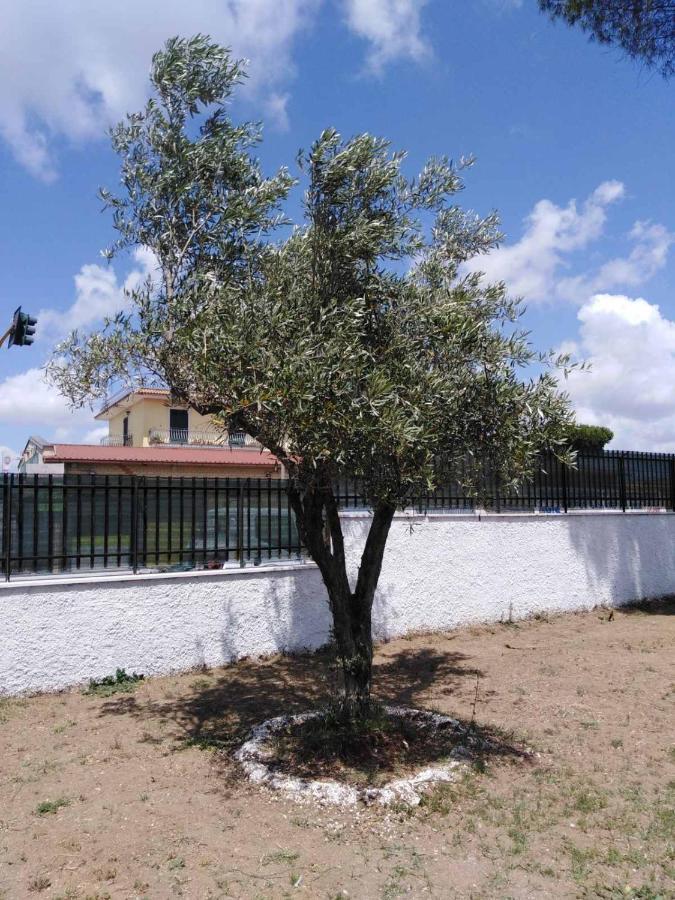 Villa Ivana Roma Dış mekan fotoğraf